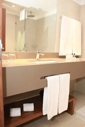 Superior Tek Büyük Yataklı Oda