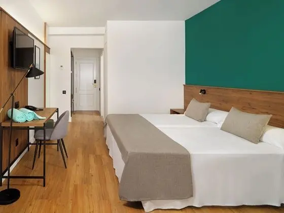 Premium Tek Büyük Yataklı Oda (3 adults)