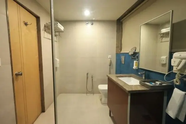 Standard Tek Büyük Yataklı Oda, 1 En Büyük (King) Boy Yatak, Şehir Manzaralı