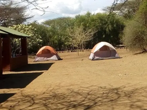 Çadır, 1 Tek Kişilik Yatak