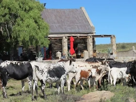 Ev, 4 Yatak Odası (Klip)