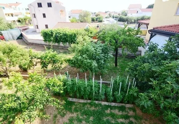 Apart Daire (Snježa - green house - B2 Snjezana(4)