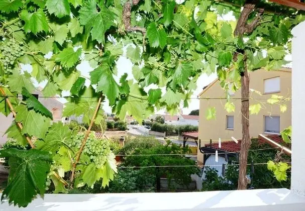 Apart Daire (Snježa - green house - B2 Snjezana(4)