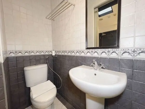 Standard Tek Büyük Yataklı Oda, Penceresiz (SkyLight)