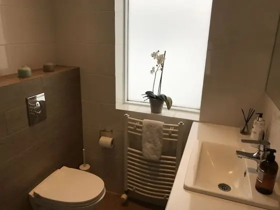 Deluxe Tek Büyük Yataklı Oda, Özel Banyo