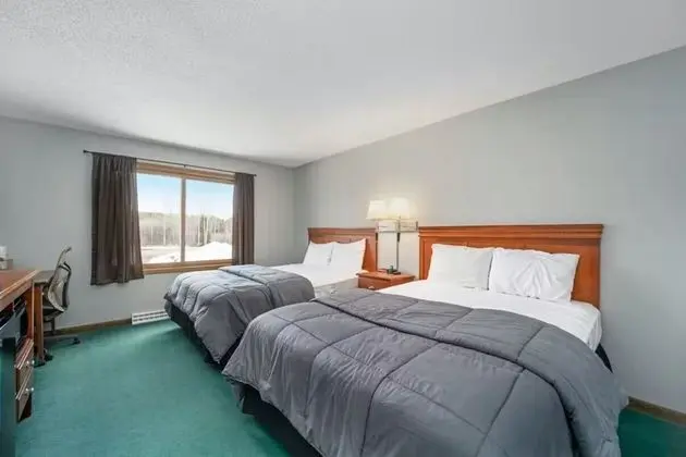 Basic Tek Büyük Yataklı Oda