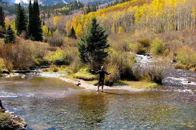 Daire (Snowmass Villas 1104)