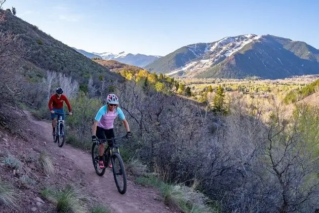 Daire (Snowmass Villas 1104)