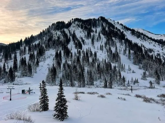 Deluxe Tek Kişilik Oda