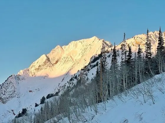 Standard Oda, 1 Büyük (Queen) Boy Yatak