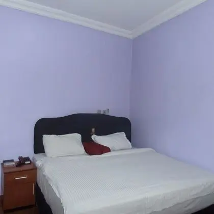 Deluxe Oda, 1 Çift Kişilik Yatak