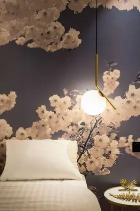 Tek Büyük Yataklı Oda, Veranda, Zemin Kat (001)