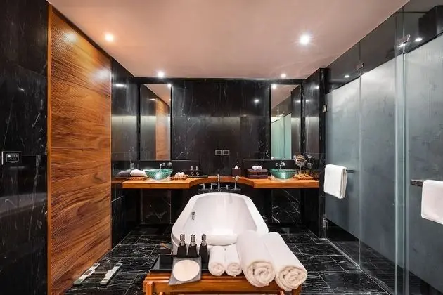 Club Süit, 1 Yatak Odası (Park or City View, Club Benefits)