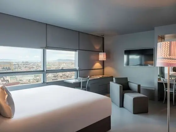 Çatı Katı (Loft), 1 En Büyük (King) Boy Yatak, Manzaralı (SO Lofty)