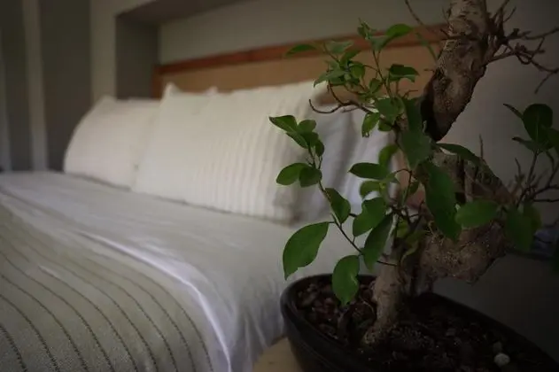 Loft Suite, Bahçe Manzaralı, Mutfaklı