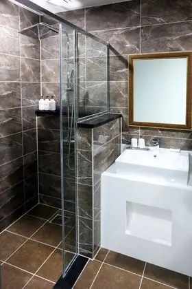 Tek Büyük Yataklı Oda (Hotel Type)