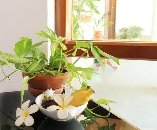 Deluxe Tek Büyük veya İki Ayrı Yataklı Oda, 1 En Büyük (King) Boy Yatak, Sigara İçilebilir