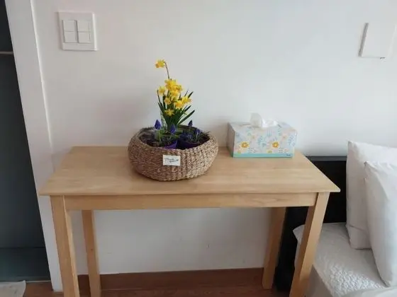 Tek Büyük Yataklı Oda (39 sqm)