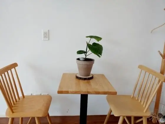 Tek Büyük Yataklı Oda (39 sqm)