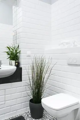 Junior Süit (Porto)