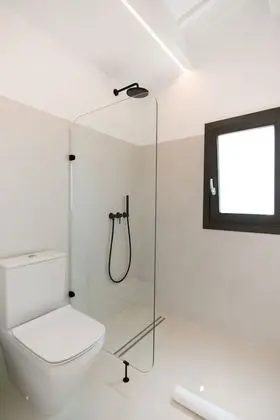 Süit