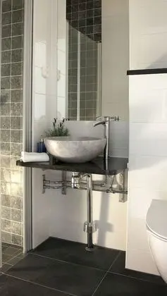 Superior Tek Büyük veya İki Ayrı Yataklı Oda, Özel Banyo (Pets not allowed)