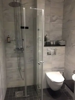 Superior Tek Büyük veya İki Ayrı Yataklı Oda, Özel Banyo (Pets not allowed)