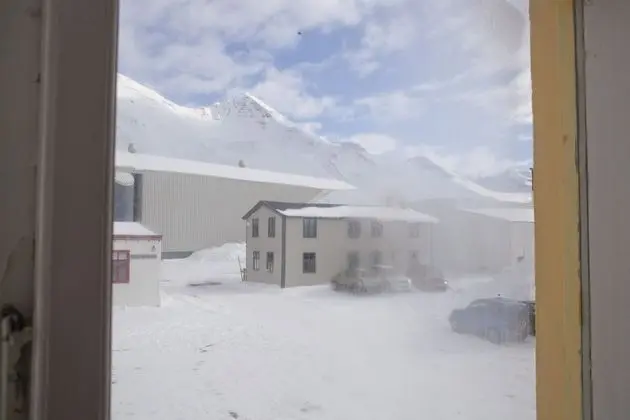 Basic Tek Büyük Yataklı Oda