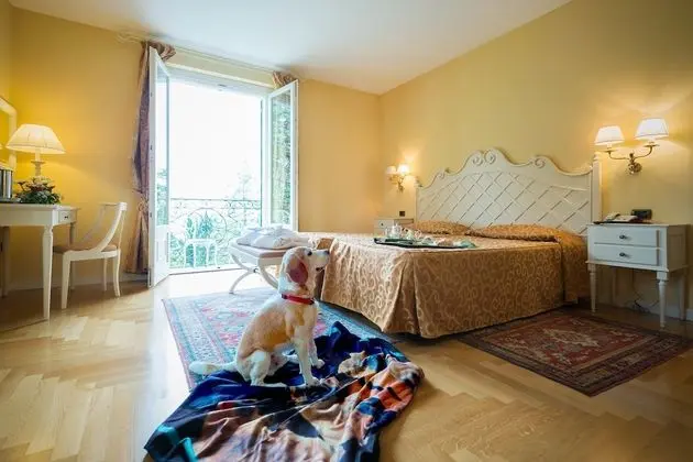 Deluxe Tek Büyük veya İki Ayrı Yataklı Oda, Balkon, Göl Manzaralı