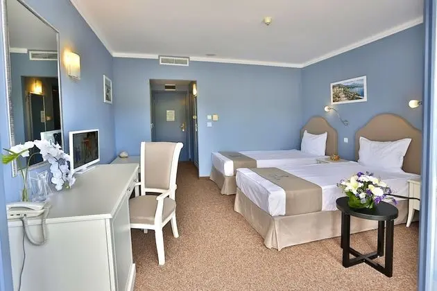 Tek Büyük veya İki Ayrı Yataklı Oda, Balkon, Park Manzaralı