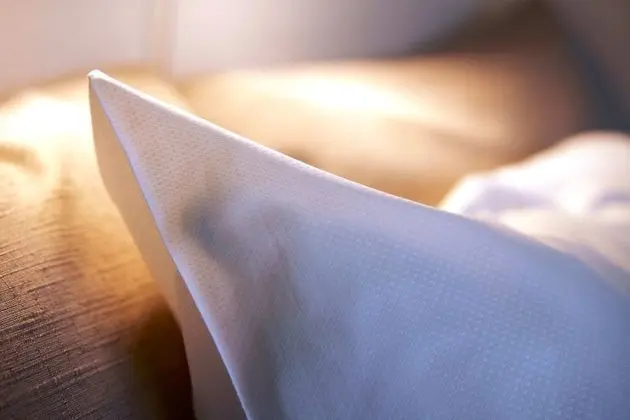 Tek Büyük Yataklı Oda, 1 Büyük (Queen) Boy Yatak, Ortak Banyo