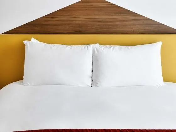 Presidential Süit, 1 Çift Kişilik Yatak