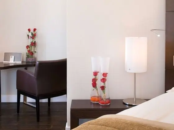 Luxury Oda, 1 En Büyük (King) Boy Yatak, Business Dinlenme Salonu Kullanımı, Şehir Manzaralı