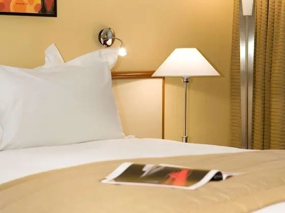 Luxury Oda, 1 En Büyük (King) Boy Yatak, Business Dinlenme Salonu Kullanımı, Şehir Manzaralı