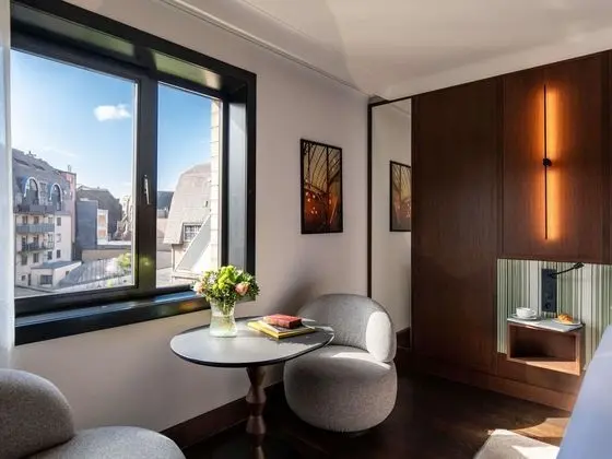 Deluxe Oda, 2 Tek Kişilik Yatak (Garden or City view)