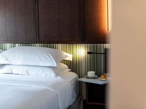 Deluxe Oda, 2 Tek Kişilik Yatak (Garden or City view)