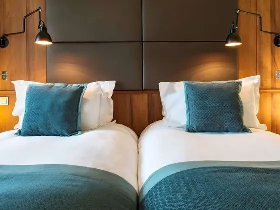 Luxury Tek Büyük Yataklı Oda, 2 Tek Kişilik Yatak, Park Manzaralı