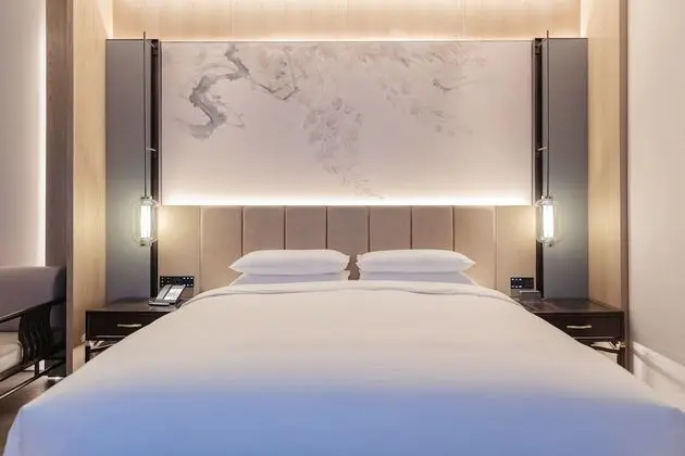 Luxury Oda, 1 En Büyük (King) Boy Yatak, Şehir Manzaralı