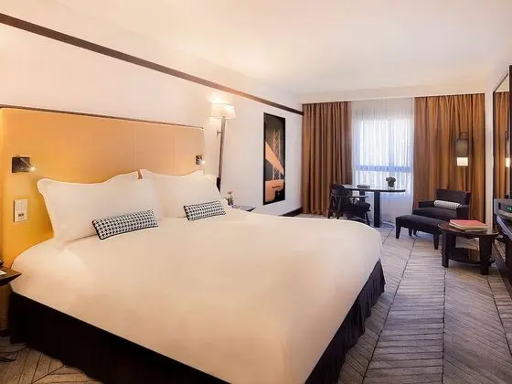 Luxury Oda, 1 En Büyük (King) Boy Yatak