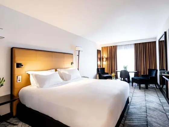Luxury Oda, 1 En Büyük (King) Boy Yatak