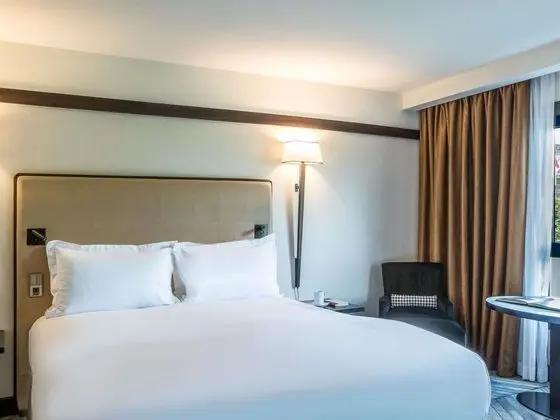 Luxury Oda, 1 En Büyük (King) Boy Yatak