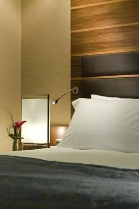 Luxury Oda, 1 En Büyük (King) Boy Yatak, Engellilere Uygun (with lounge access)