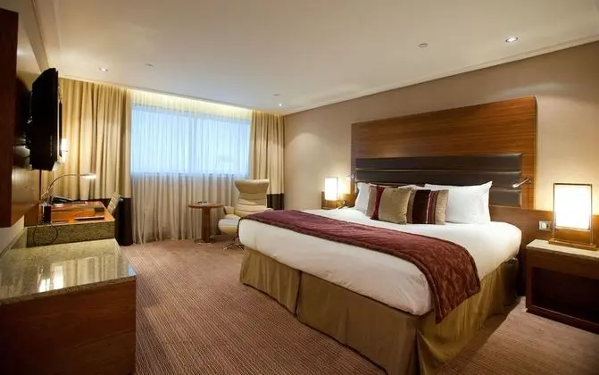 Luxury Oda, 1 En Büyük (King) Boy Yatak, Engellilere Uygun (with lounge access)