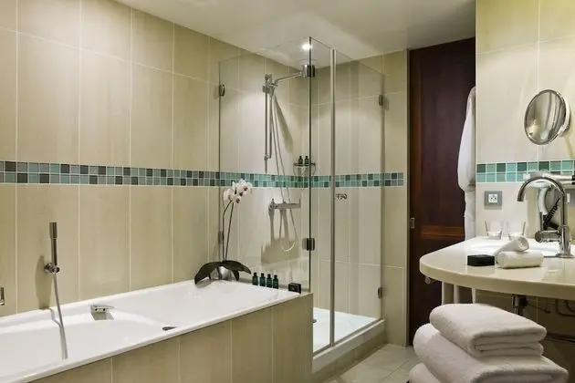 Luxury Oda, 1 Büyük (Queen) Boy Yatak, Teras, Manzaralı (Fitness and Sofitel Spa)