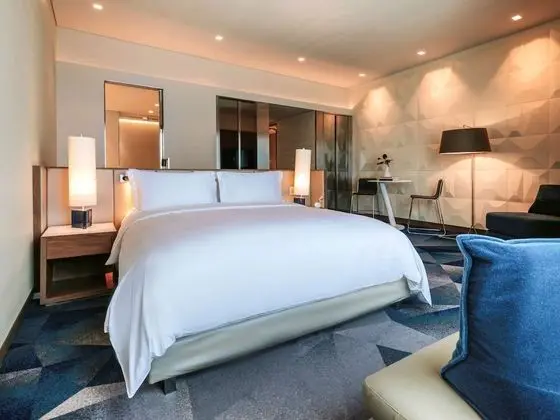 Luxury Oda, 1 En Büyük (King) Boy Yatak, Business Dinlenme Salonu Kullanımı (Skyline View)