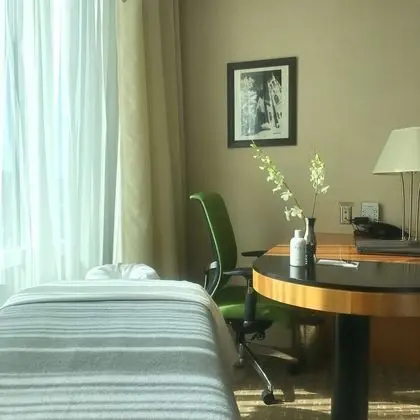 Superior Oda, 1 En Büyük (King) Boy Yatak, Şehir Manzaralı