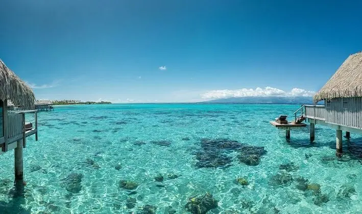 Luxury Oda, 1 En Büyük (King) Boy Yatak, Deniz Üstü