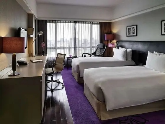 Superior Oda, 2 Tek Kişilik Yatak, Şehir Manzaralı