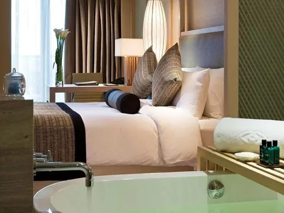 Luxury Oda, 1 En Büyük (King) Boy Yatak