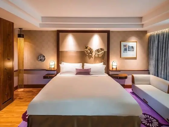 Luxury Oda, 1 En Büyük (King) Boy Yatak